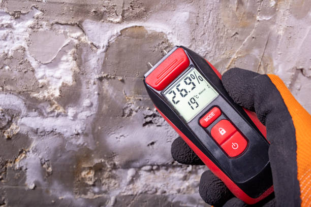 Best Mold Testing  in Wichita, KS