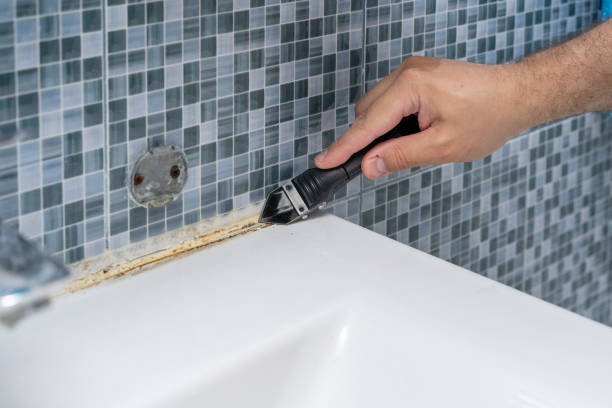 Best Professional Mold Removal  in Wichita, KS