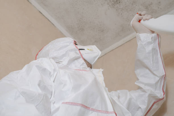 Best Mold Removal Process  in Wichita, KS