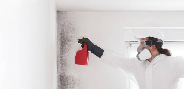 Best Crawl Space Mold Removal  in Wichita, KS
